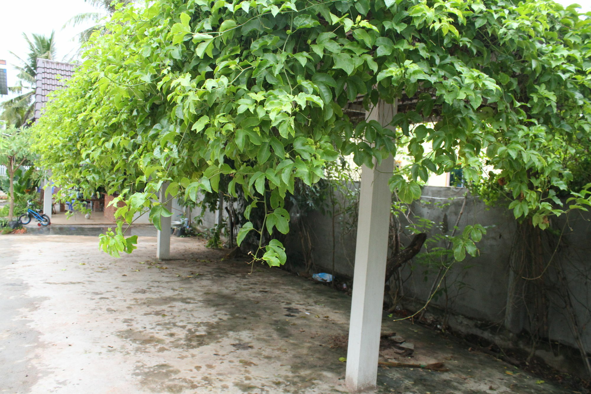 My Parents Guesthouse Кампот Екстериор снимка